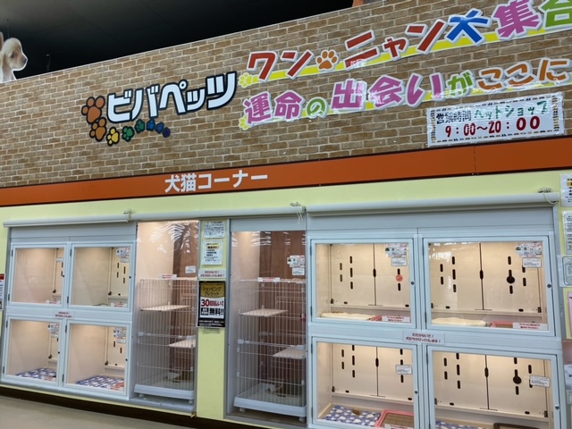 ワンニャンハウス